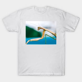 Giving you the eye---- T-Shirt